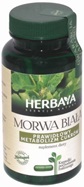 Herbaya Morwa biała x 60 kaps