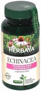 Herbaya Echinacea x 60 kaps