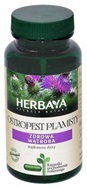 Herbaya Ostropest plamisty  x 60 kaps