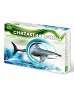 Chrząstka rekina x 48 kaps (Gal)