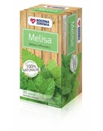 Rodzina Zdrowia Melisa x 30 sasz