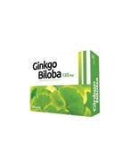 Ginkgo biloba x 60 kaps