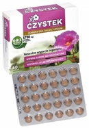 Czystek x 60 tabl