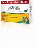 Lactobifid walmark x 14 kaps