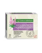 Wierzbownica x 30 tabl powlekanych