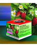 Wazelina kosmetyczna o smaku poziomkowym 15 ml (Kosmed)