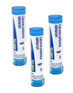 Boiron calcarea carb.ostrear.  9 ch