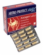 Artro protect max x 60 kaps