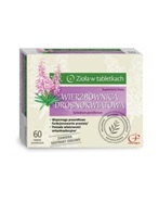 Wierzbownica x 60 tabl powlekanych